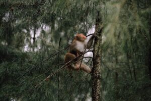 Image so baby.co.uk 1118 1746020120491